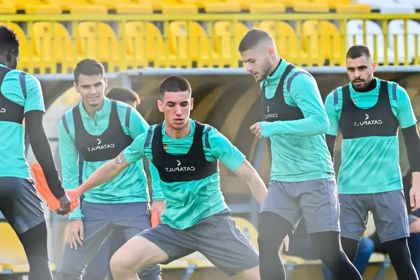 Канарчетата загряха за ЦСКА